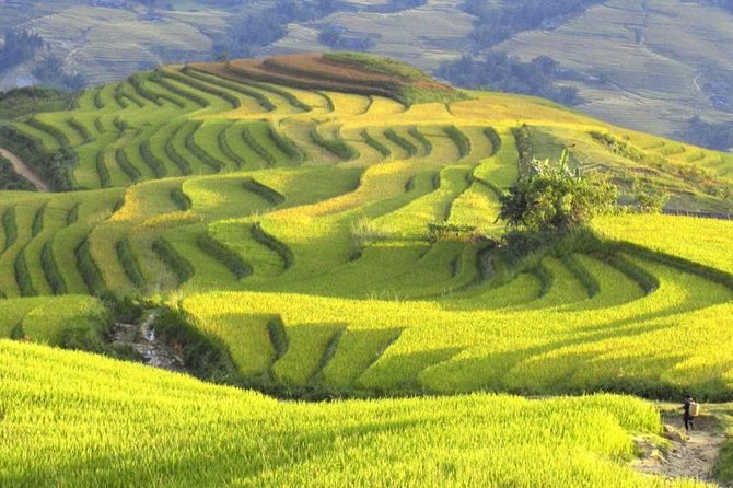 Hanoi-Sapa Trek 2 days 2 nights and Homestay with small group - Hanoi to Sapa by night train: the easiest way to start trekking