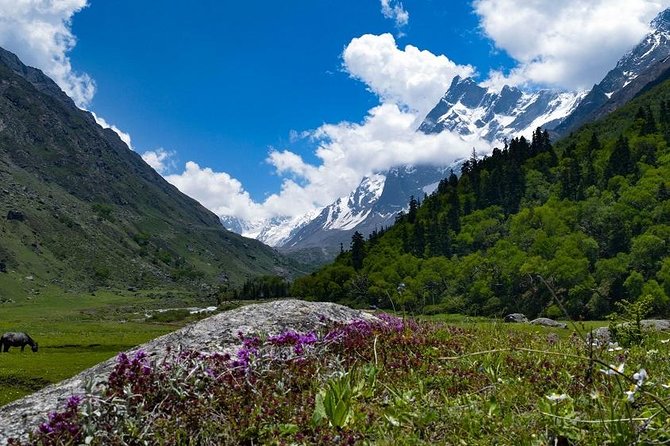Har Ki dun Trek by Himalaya Shelter - Key details to know before you commit