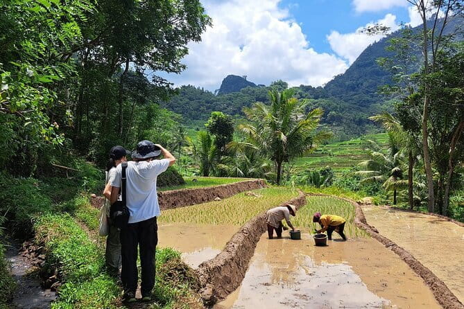 Hidden Waterfall & Selogriyo Rice Terraces Trek from Yogyakarta - Getting to Kedung Kayang: the ride matters more than you think