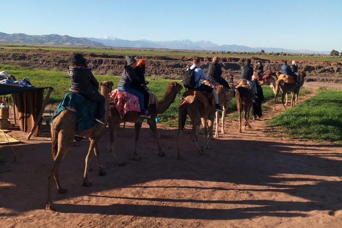 High Atlas Mountains Day Trip and Camel Trek - Fitness, Footwear, and Weather: Your Real Planning Checklist