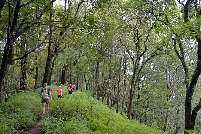 High Mountain Day Trek - Key things to know before you go