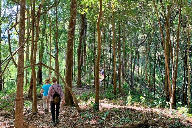 High Mountain Day Trek - The mountain homestay lunch: what you get and why it matters