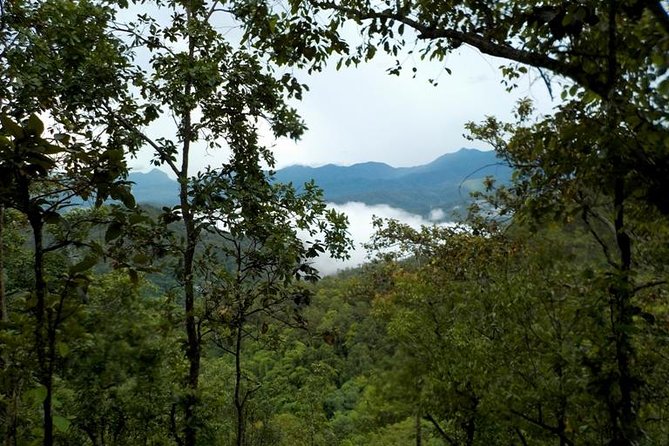 High Mountain Day Trek - The village stop: tea or coffee and meeting real people