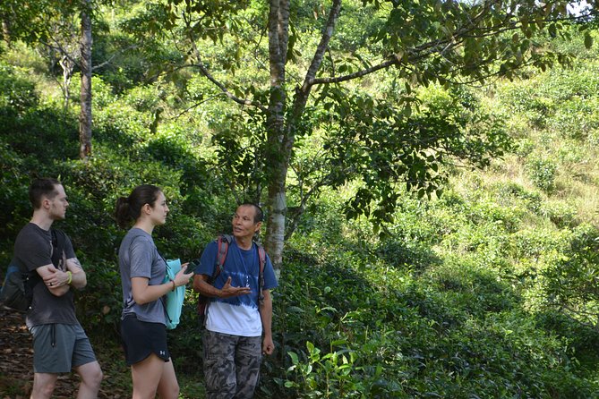 High Mountain Day Trek - Price and value: is $63 a good deal?