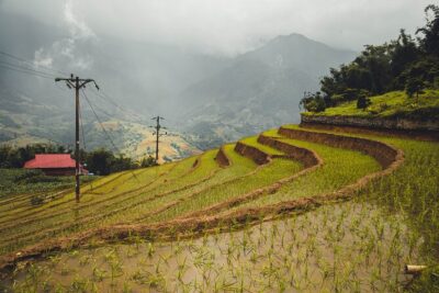 Highland Harmony Trek in Sapa - Y Linh Ho: a small Black H’mong village walk with strong atmosphere
