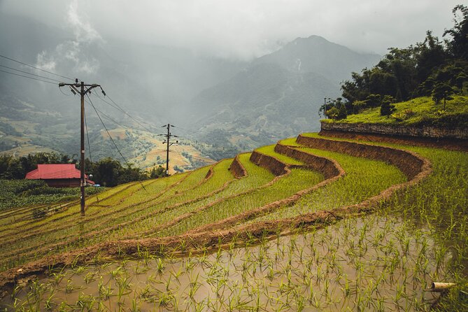 Highland Harmony Trek in Sapa - Y Linh Ho: a small Black H’mong village walk with strong atmosphere