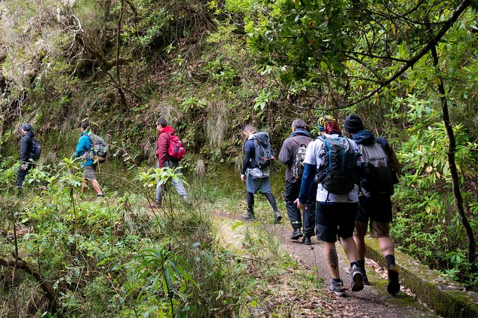 Hiking and Trekking tours in Madeira - Key highlights at a glance