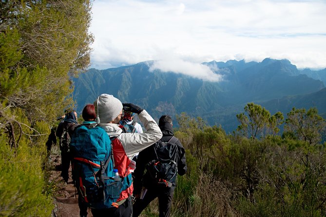 Hiking and Trekking tours in Madeira - Why Madeira Levadas Feel Different From Ordinary Hiking