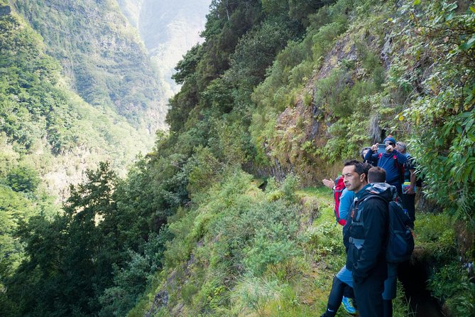 Hiking and Trekking tours in Madeira - What the Guided Levada Hike Actually Means for Your Day