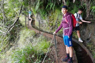 Hiking and Trekking tours in Madeira - The 9:00 AM Pickup and the Up-to-8 Group Factor