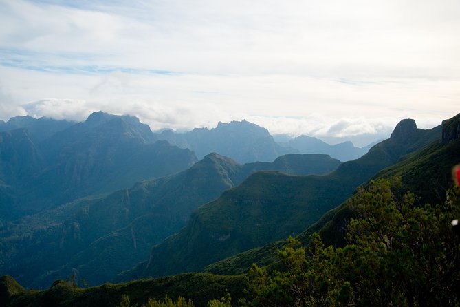 Hiking and Trekking tours in Madeira - Volcanic Views, Forest Edges, and Photo Opportunities You Can Plan For