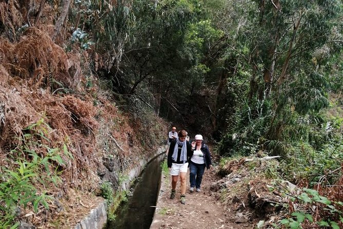 Hiking and Trekking tours in Madeira - Food Reality Check: Snacking Strategy for a 7-Hour Hike