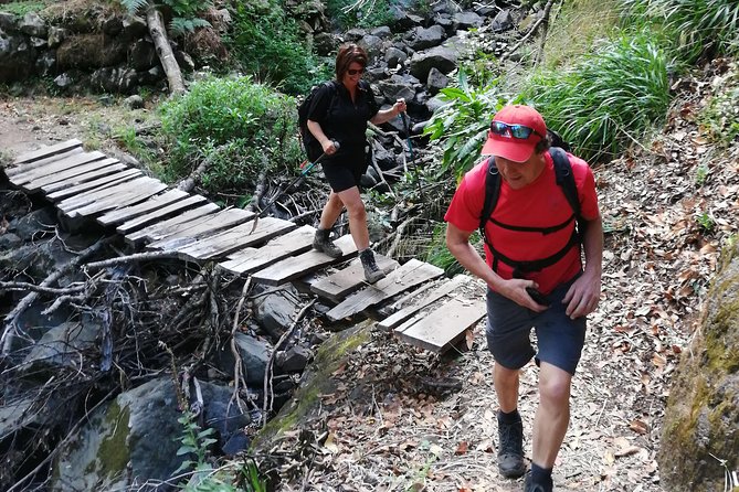 Hiking and Trekking tours in Madeira - Price and Value: Is $120.02 Worth It?