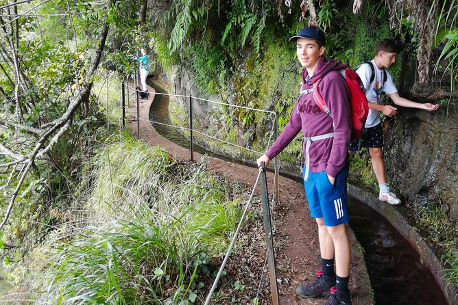 Hiking and Trekking tours in Madeira - The 9:00 AM Pickup and the Up-to-8 Group Factor