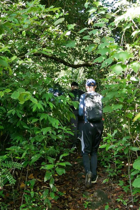 Hoi An: Amazing My Son Sanctuary and Mountain Trekking - Jungle Trekking with a Hunter-Guide: Hidden Paths and Real Nature