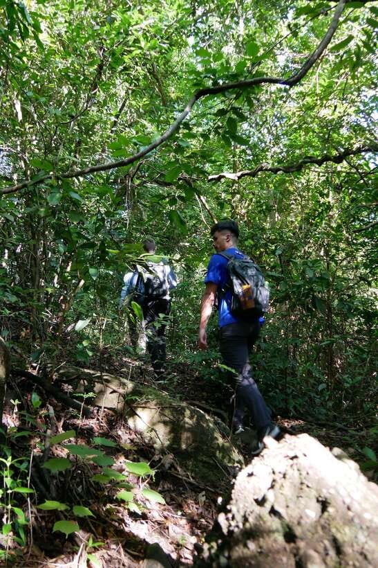 Hoi An: Amazing My Son Sanctuary and Mountain Trekking - Where the “Mountain Quiet” Happens: Streams, Breaks, and Slowing Down