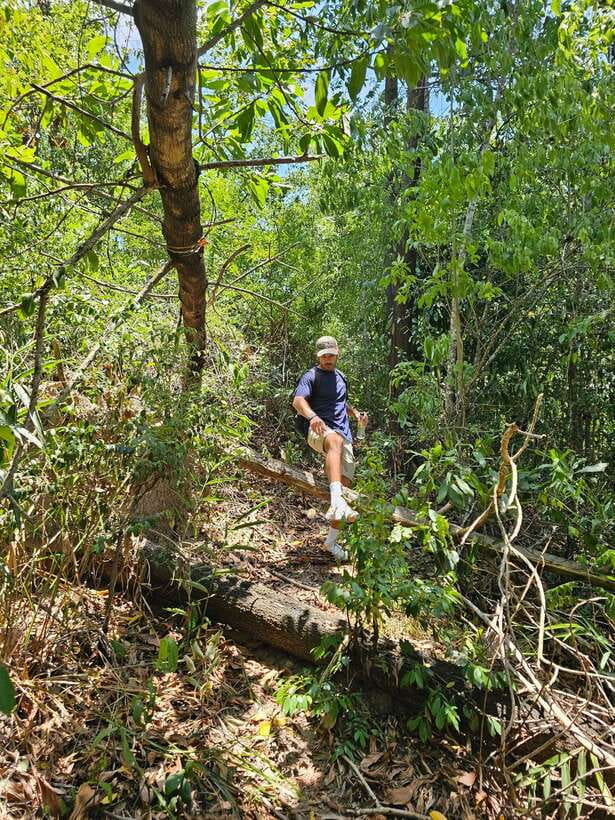 Hoi An: Amazing My Son Sanctuary and Mountain Trekking - Price and Value at Around $20: What’s Included and What Costs Extra