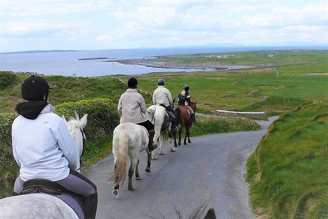 Horse riding - Dirt Trek Trail. Lisdoonvarna, Clare. Guided. 1 hour. - Why the coastal County Clare views feel different from land tours