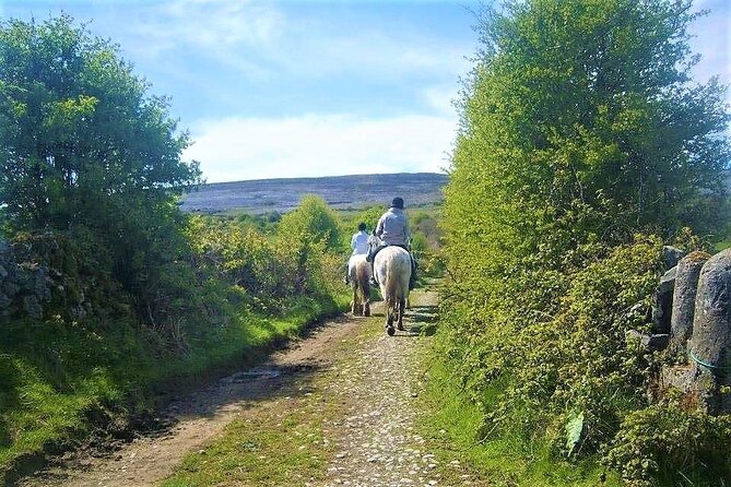 Horse riding - Dirt Trek Trail. Lisdoonvarna, Clare. Guided. 1 hour. - Gear, comfort, and the 95kg rider limit