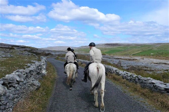 Horse riding - Dirt Trek Trail. Lisdoonvarna, Clare. Guided. 1 hour. - Price and value: what you get for $121.62 per person