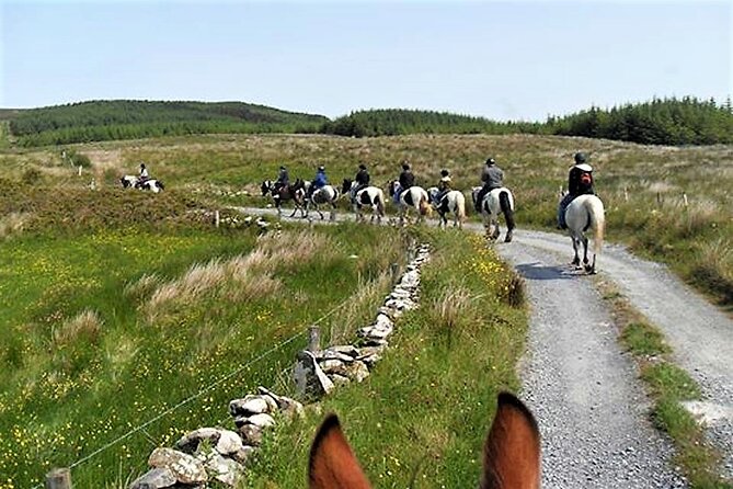 Horse riding - Dirt Trek Trail. Lisdoonvarna, Clare. Guided. 1 hour. - Practical tips to make the ride easier (and more fun)