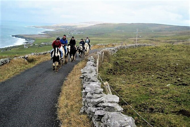Horse riding - Dirt Trek Trail. Lisdoonvarna, Clare. Guided. 1 hour. - Guides and horses: the calm, competent part that makes or breaks the ride