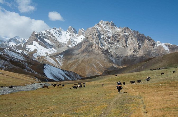 Horse Trek to Kel Suu Lake - The Return Drive to Bishkek: From Mountain Silence to City Noise