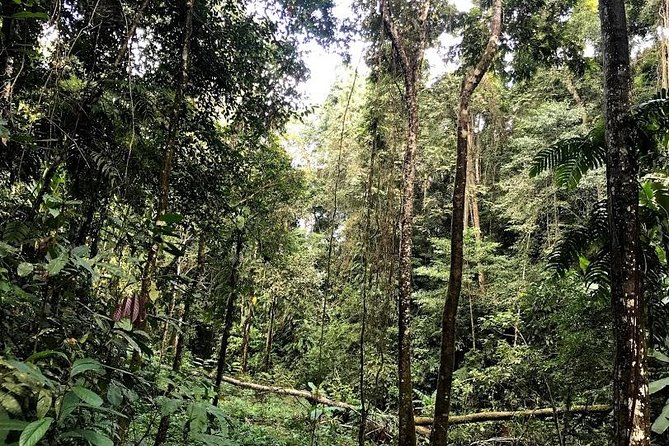 Hunter Trails, 3 days difficult trekking with Camping & Homestay - How difficult is it really? Steep hills, 6–7 hours, and rainy-season reality