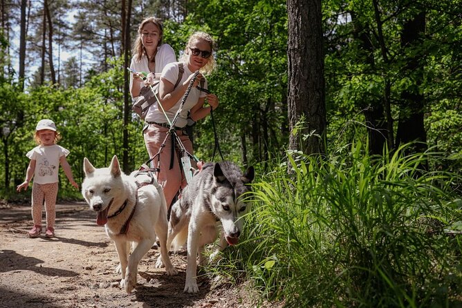 Husky Trekking in Natural Park near Vilnius - From Vilnius to a husky village in the national park
