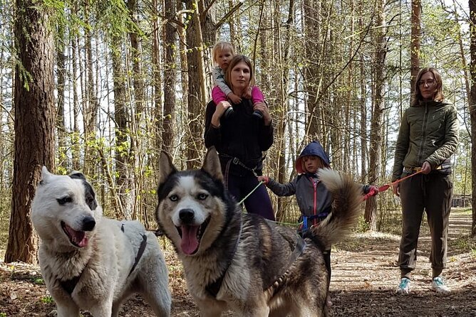 Husky Trekking in Natural Park near Vilnius - The trail itself: woods, water views, and calm pacing
