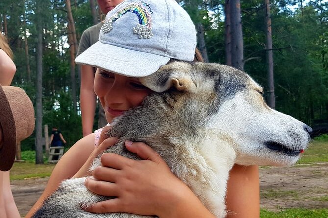 Husky Trekking in Natural Park near Vilnius - Tea by the fire: the human finish after the outdoor time