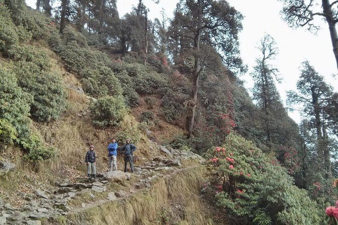 Indrahar Pass Trek with Manu Adventures India - Price and value: is $108.15 a fair deal for this trek?