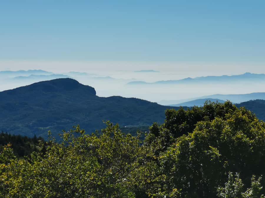 Inthanon national park, Trekking and Sightseeing in one day. - Twin Pagodas: Cultural Significance With Scenic Timing