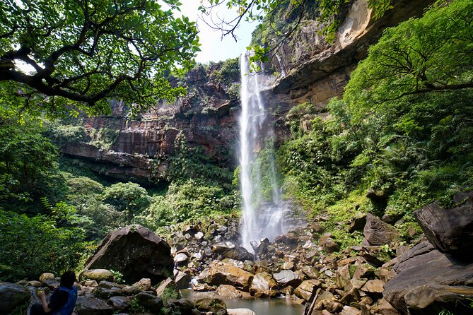 Iriomote’s Adventure: Pinaisara Falls Canoe and Trekking Tour - Key things I think you’ll notice right away