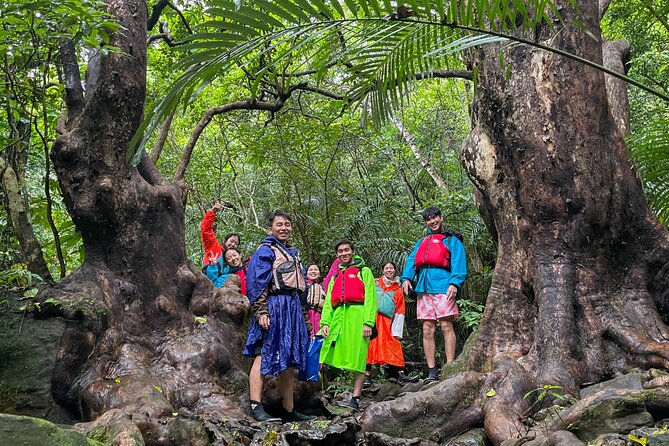 Iriomote’s Adventure: Pinaisara Falls Canoe and Trekking Tour - Why Pinaisara Falls is worth the effort on Iriomote
