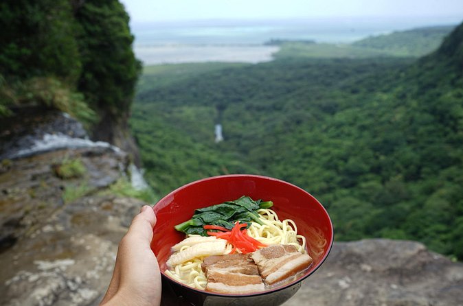Iriomote’s Adventure: Pinaisara Falls Canoe and Trekking Tour - Trekking through the subtropical forest for the payoff views