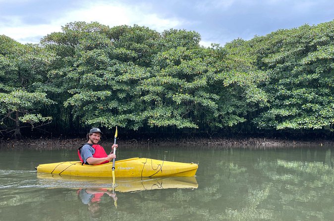 Iriomote’s Adventure: Pinaisara Falls Canoe and Trekking Tour - Group size, daily caps, and why the day doesn’t feel crowded