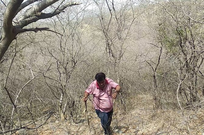 Jaipur Trekking and Hiking Tour with Guide - Practical tips for a smoother sunrise hike