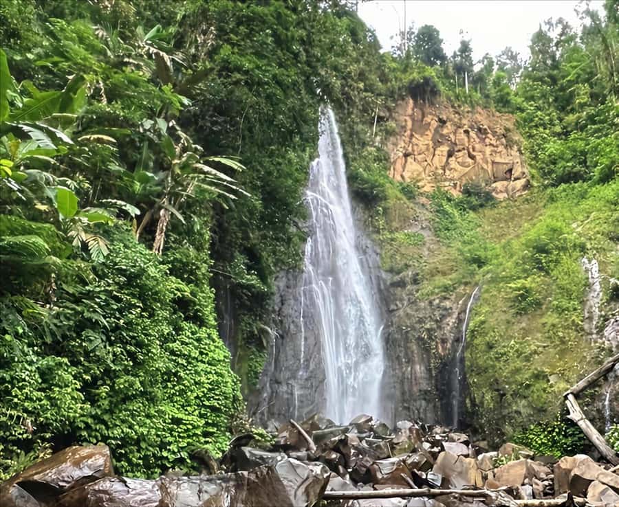 Jakarta: Botanical Garden & Rainforest Trekking to Waterfall - A 9-hour break from Jakarta into Bogor countryside
