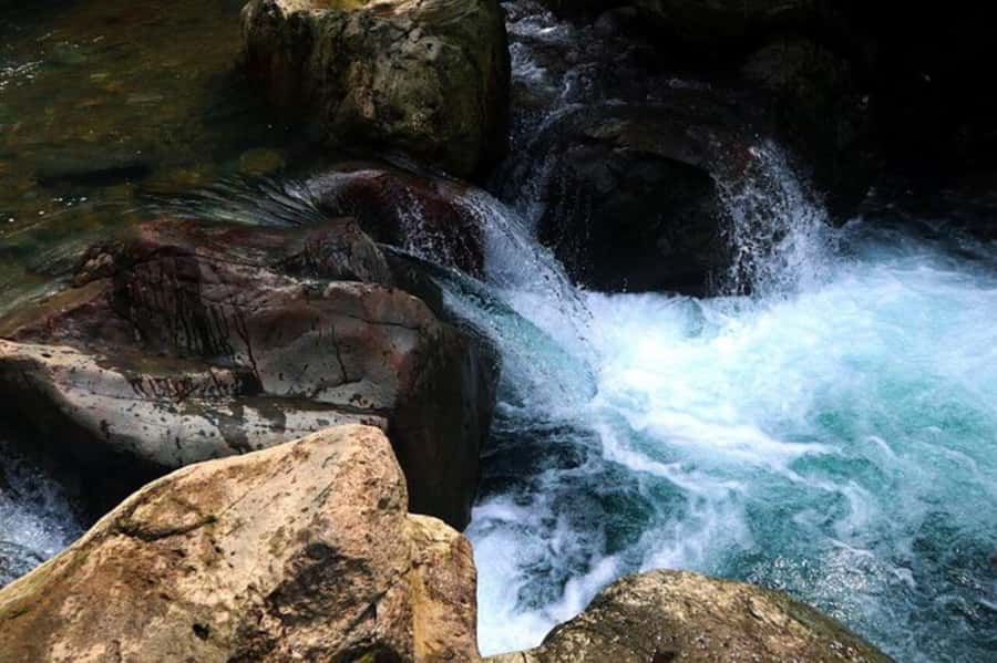 Jakarta: Botanical Garden & Rainforest Trekking to Waterfall - Rainforest trekking to a 40-meter hidden waterfall