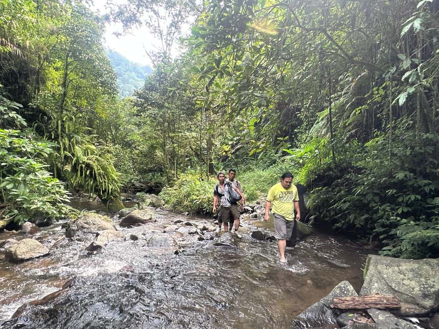 Jakarta: Botanical Garden & Rainforest Trekking to Waterfall - Rice fields and village life: the part most people skip
