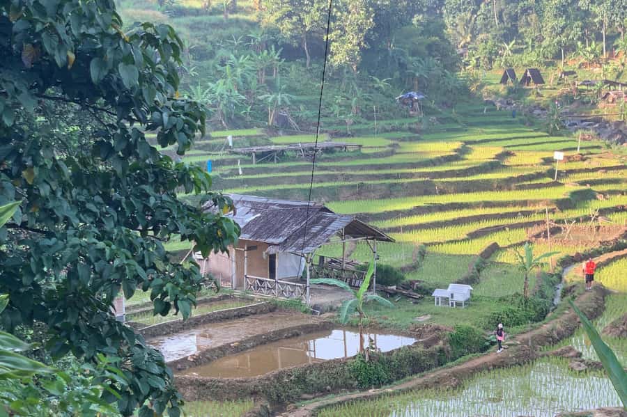 Jakarta: Sentul Pine Forest and Waterfall Trekking Tour - Lunch and rest: how to plan your energy for the last stretch