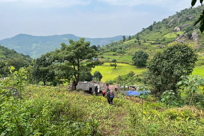 Jindhagada Trek - Getting From Rushikonda to Olubidda Village (And Why Transport Matters)