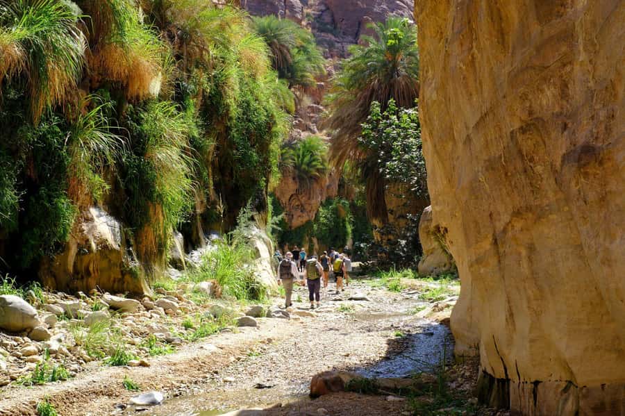 Jordan Trail: Dana to Petra 4-Day Trekking Tour - Little Petra first: why the hidden back trail changes Petra