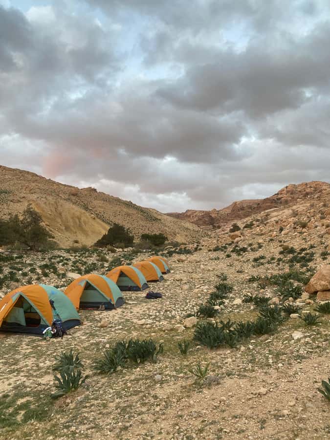 Jordan Trail: Dana to Petra 4-Day Trekking Tour - Price and value: what $499 covers (and why that matters on a trek)