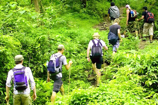 Jungle Trekking and Tamblingan Lake Canoeing in Bali Rainforest - Jungle trekking with a private English-speaking guide and temple stop
