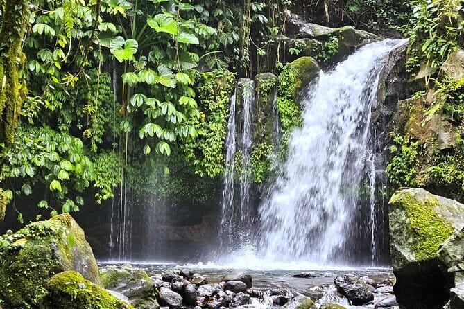 Jungle Trekking at Mt. Batukaru, scenic Waterfall & village life - Key Things You’ll Remember