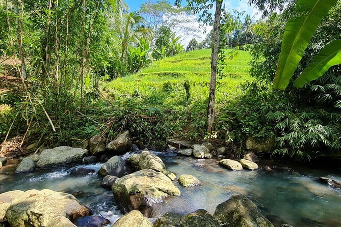Jungle Trekking at Mt. Batukaru, scenic Waterfall & village life - Pura Luhur Batukaru: Blessings Before You Step Into the Forest