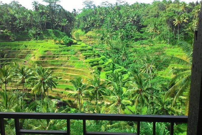 Jungle Trekking at Mt. Batukaru, scenic Waterfall & village life - Massage After The Trek: Small Time, Big Recovery