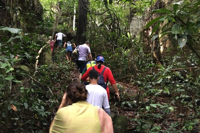 Jungle Trekking Tour at Phnom Kulen National Park from Siem Reap - Price and Logistics: What the $113.05 Buys You